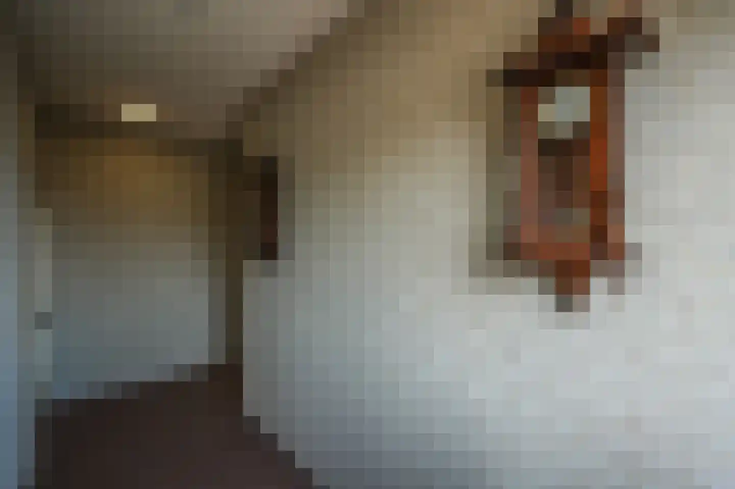 Dommelstraat 30 Oss thumbnail 9