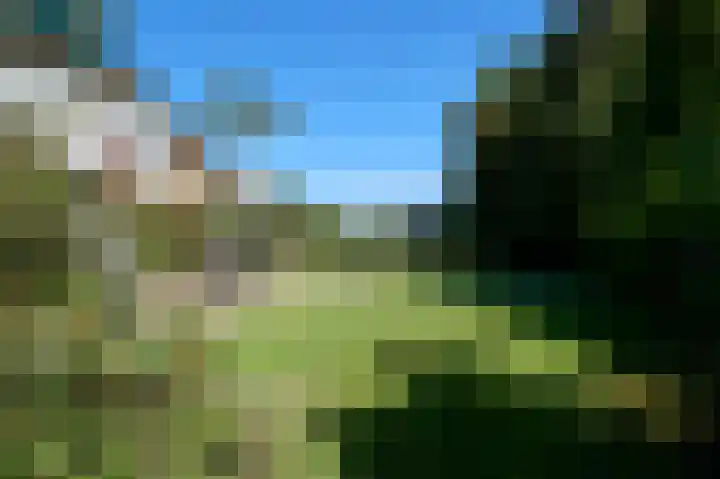 Dommelstraat 34 Terneuzen thumbnail 4