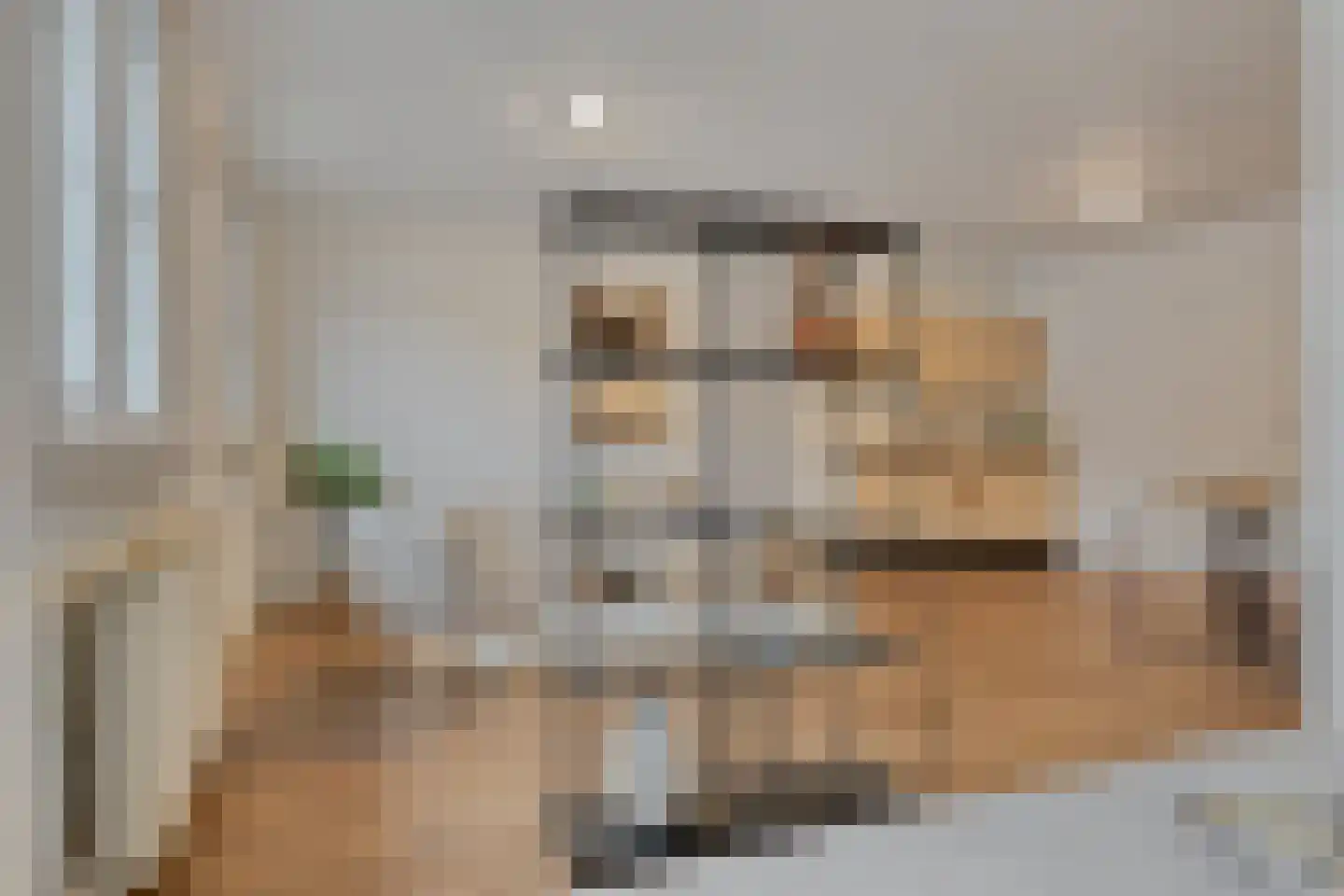 Dommelstraat 36 E Eindhoven thumbnail 10