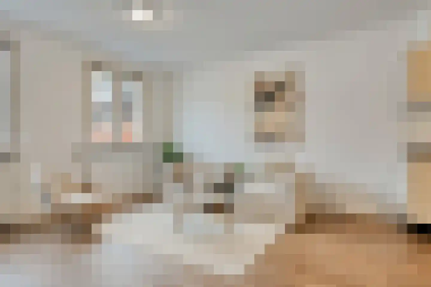Dommelstraat 36 E Eindhoven thumbnail 11