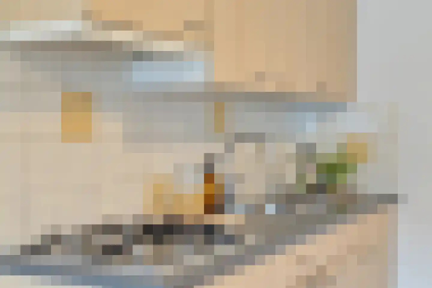 Dommelstraat 36 E Eindhoven thumbnail 17