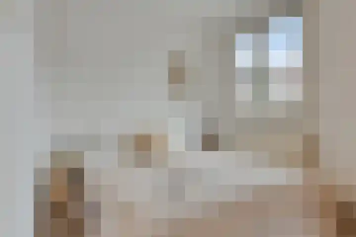 Dommelstraat 36 E Eindhoven thumbnail 18