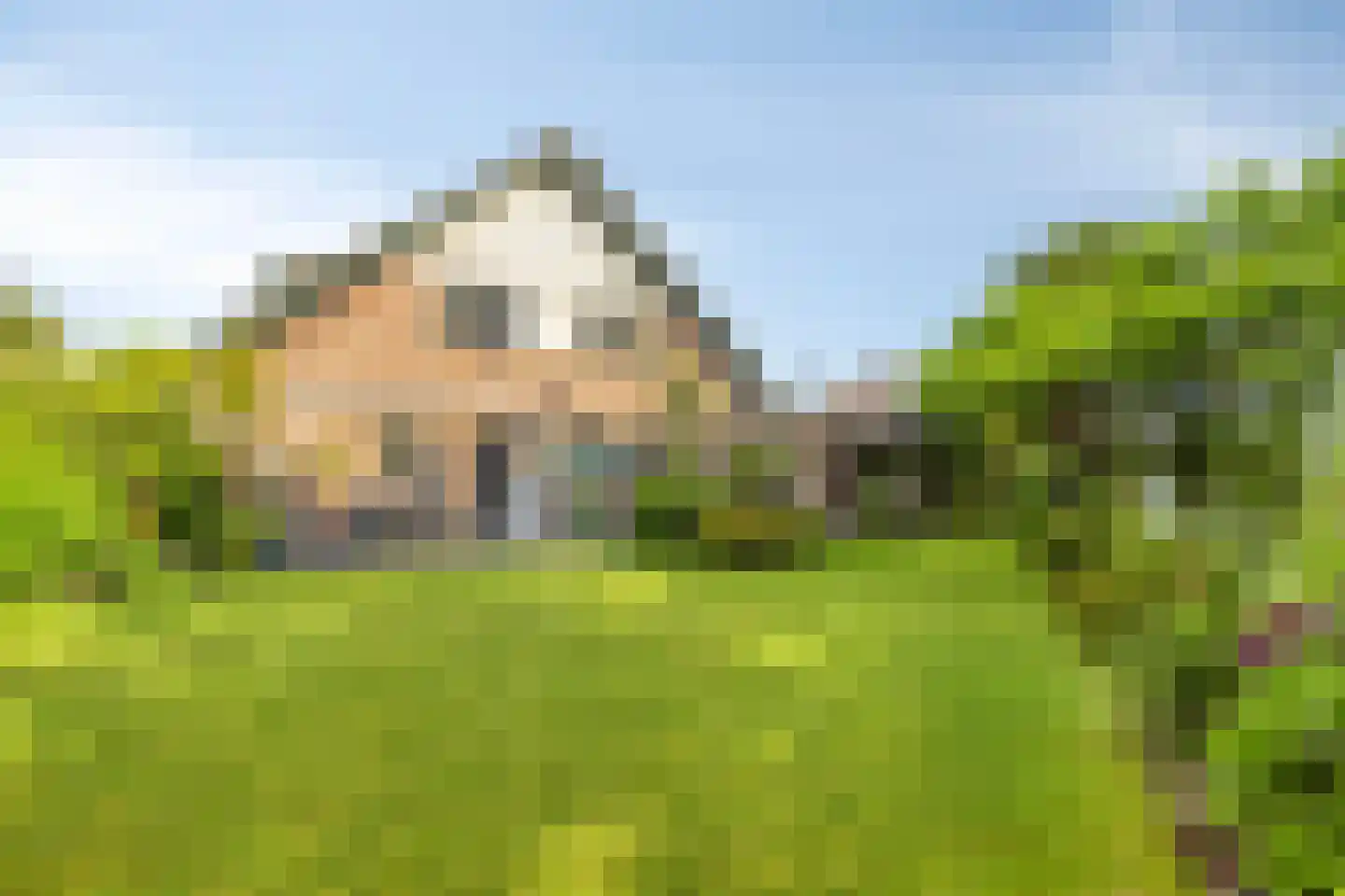 Dommelstraat 36 Terneuzen thumbnail 26