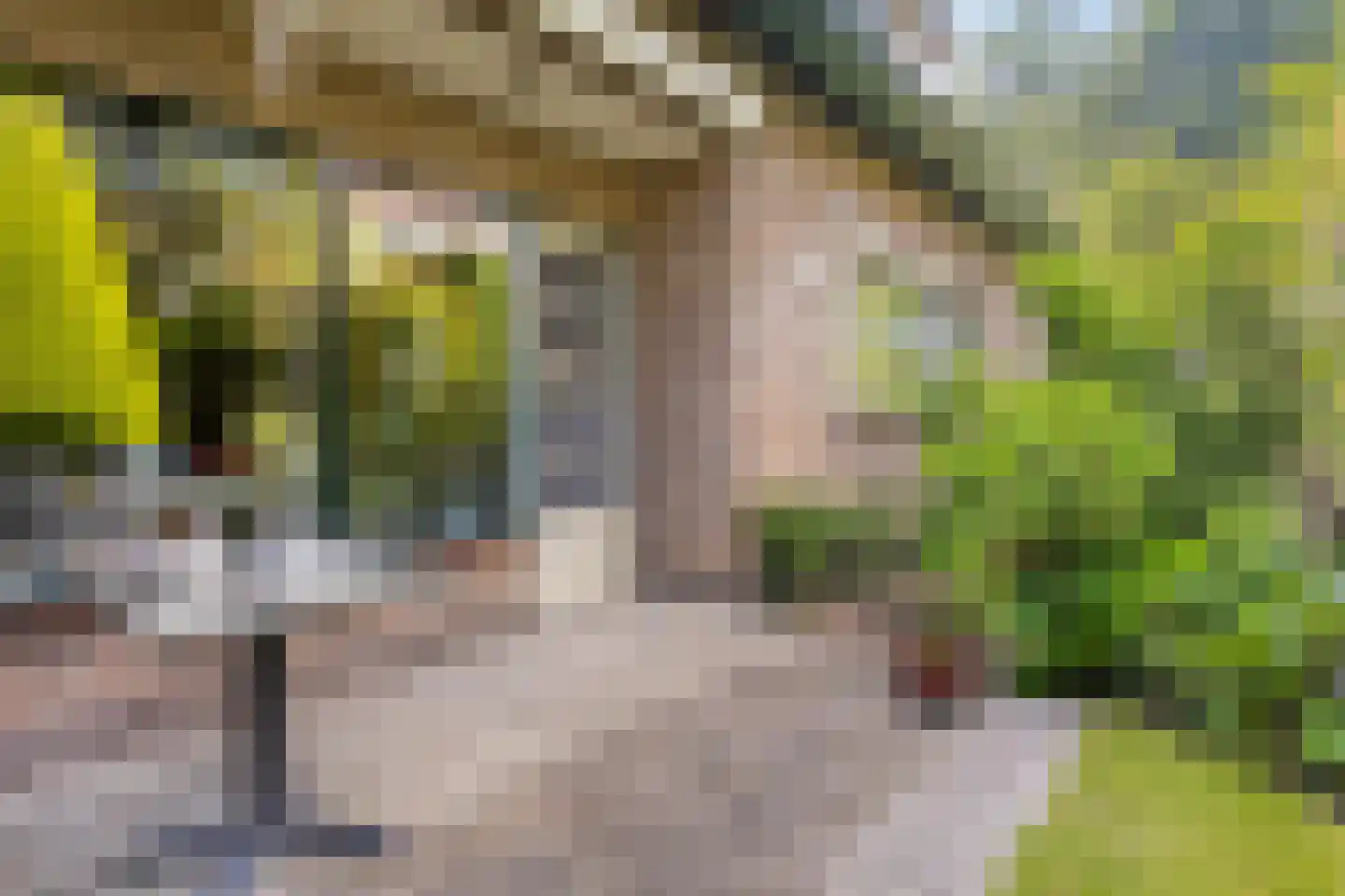 Dommelstraat 36 Terneuzen thumbnail 27