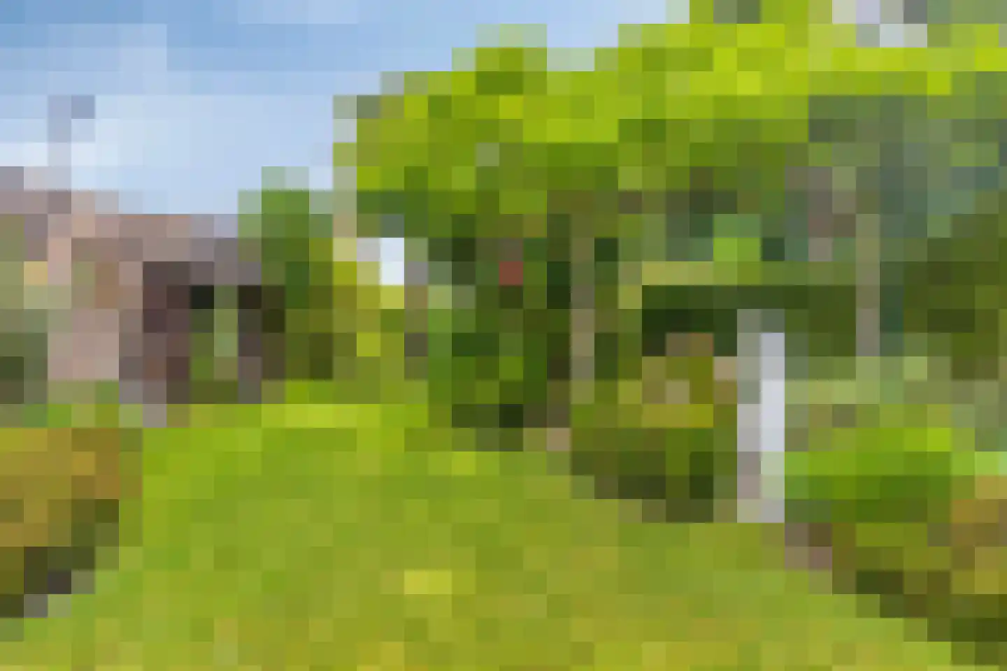 Dommelstraat 36 Terneuzen thumbnail 32