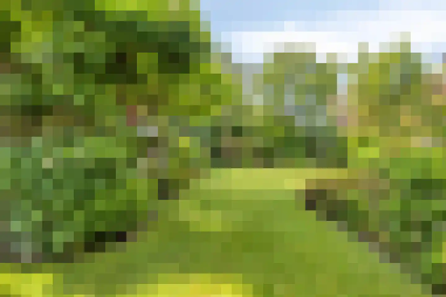 Dommelstraat 36 Terneuzen thumbnail 33