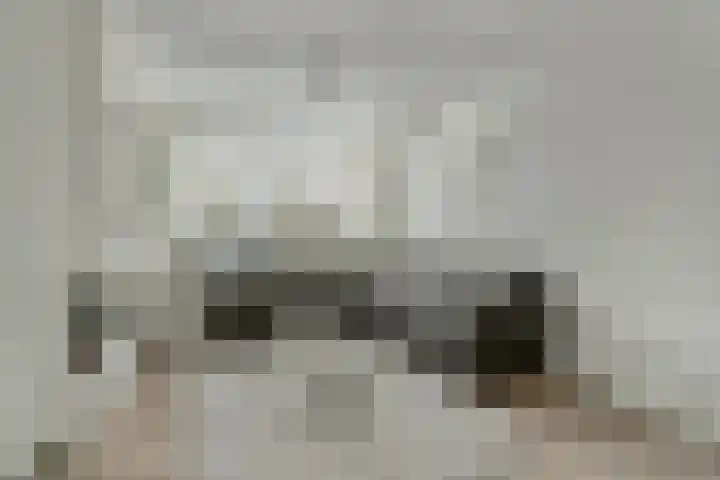 Dommelstraat 37 Helmond thumbnail 4