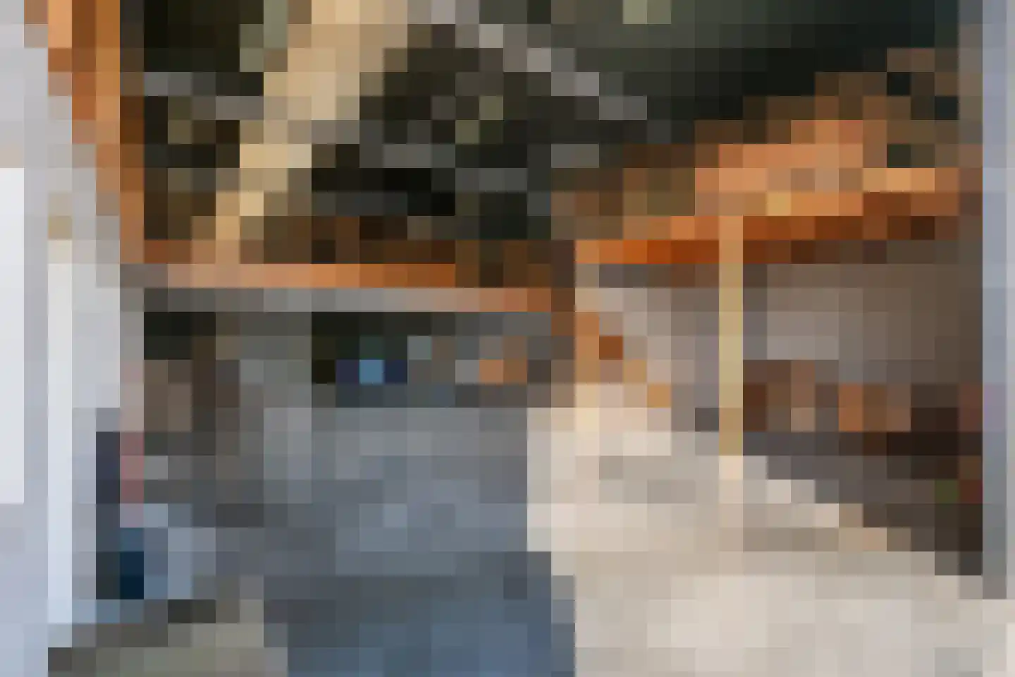 Dommelstraat 40 Oss thumbnail 23