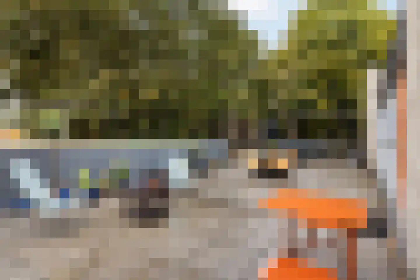 Dommelstraat 48 Dordrecht thumbnail 6