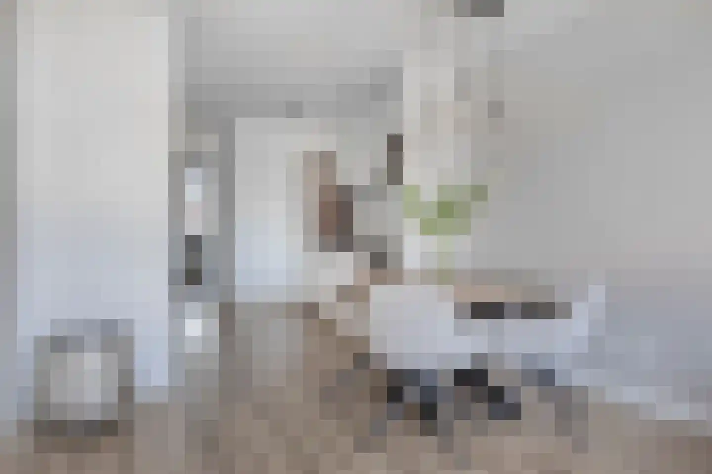 Dommelstraat 5 G 's-Hertogenbosch thumbnail 7
