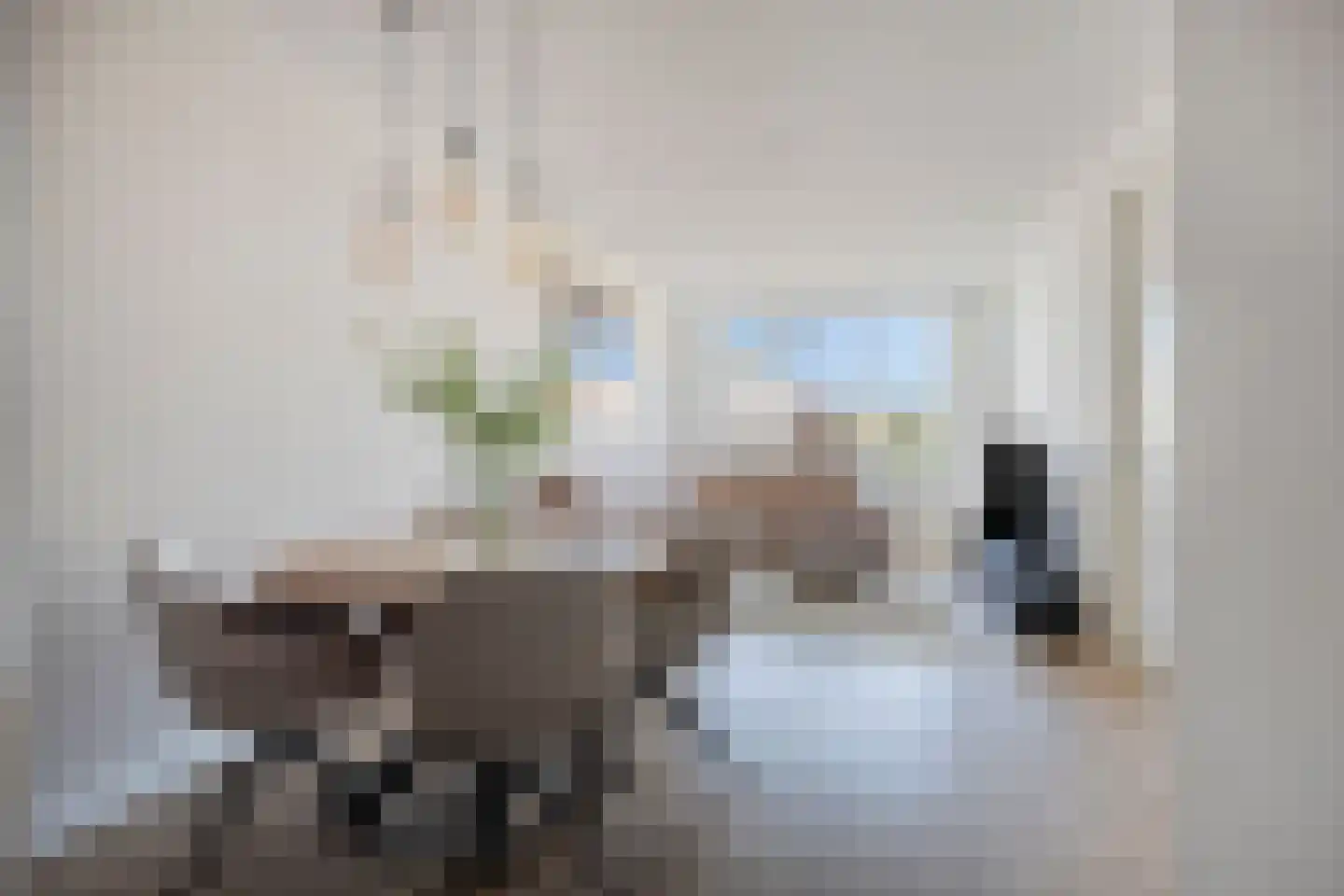 Dommelstraat 5 G 's-Hertogenbosch thumbnail 8