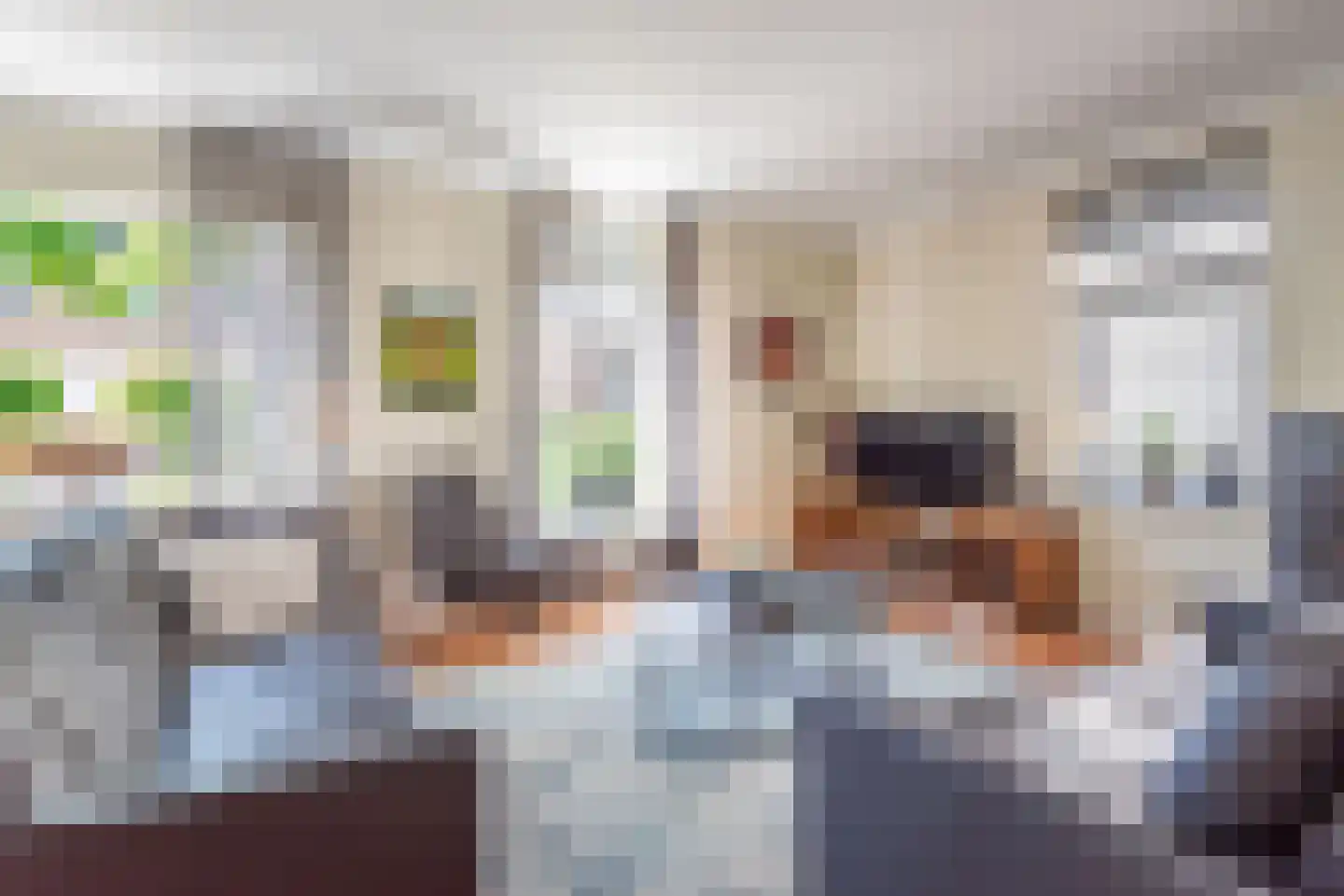 Dommelstraat 5 Ulft thumbnail 14