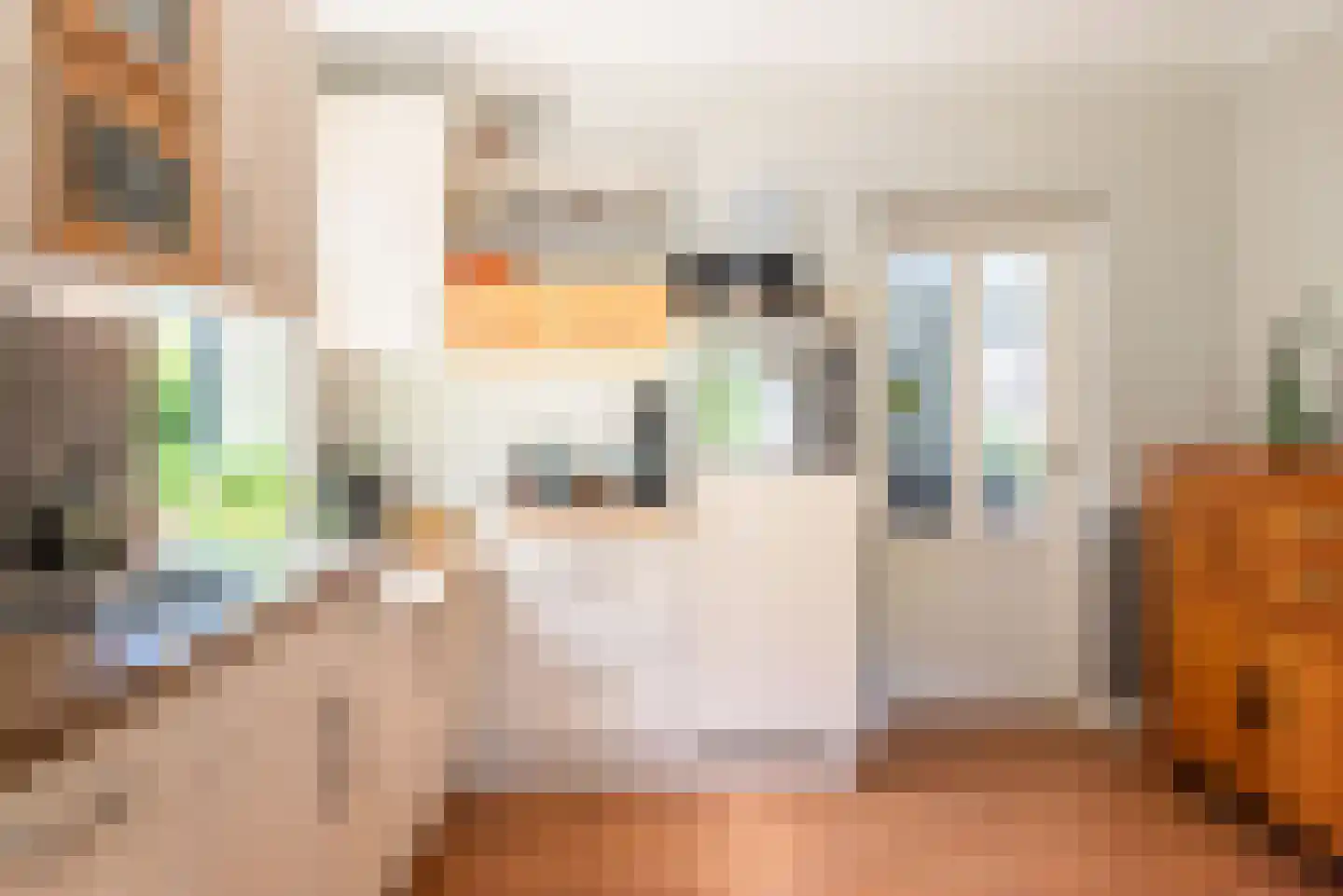 Dommelstraat 5 Ulft thumbnail 19