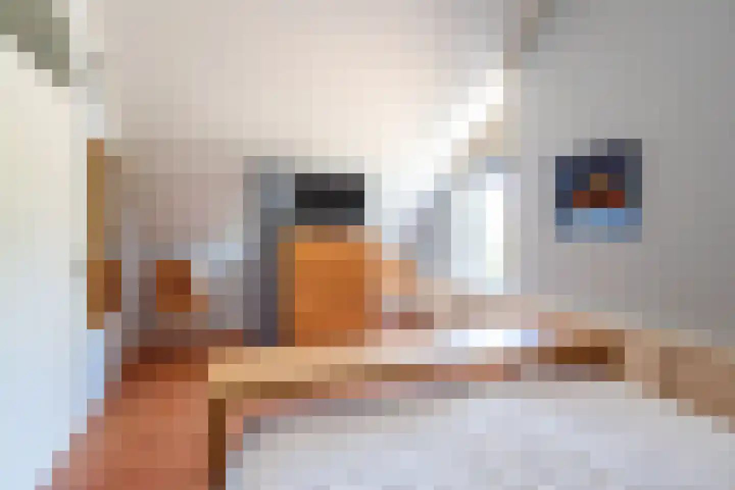Dommelstraat 5 Ulft thumbnail 26