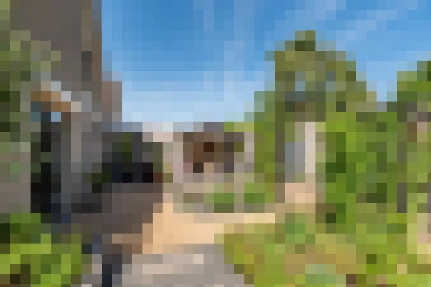 Dommelstraat 5 Ulft thumbnail 35