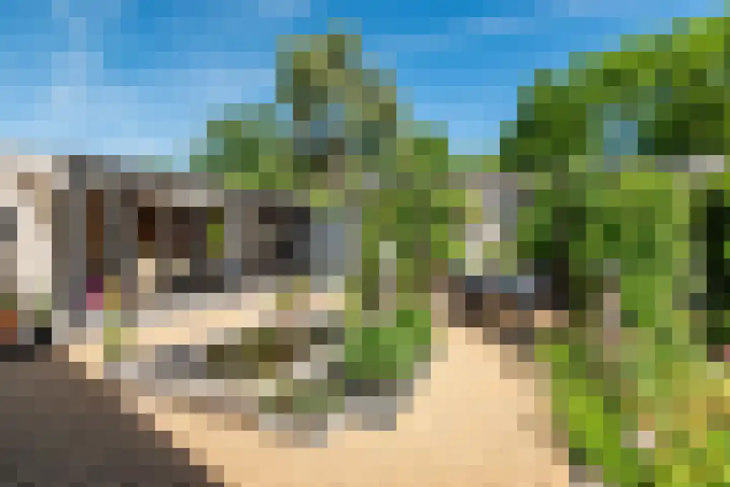 Dommelstraat 5 Ulft thumbnail 36