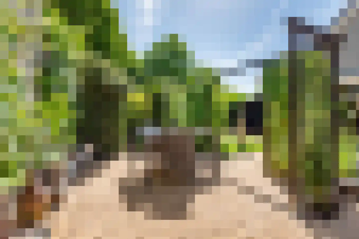 Dommelstraat 5 Ulft thumbnail 37