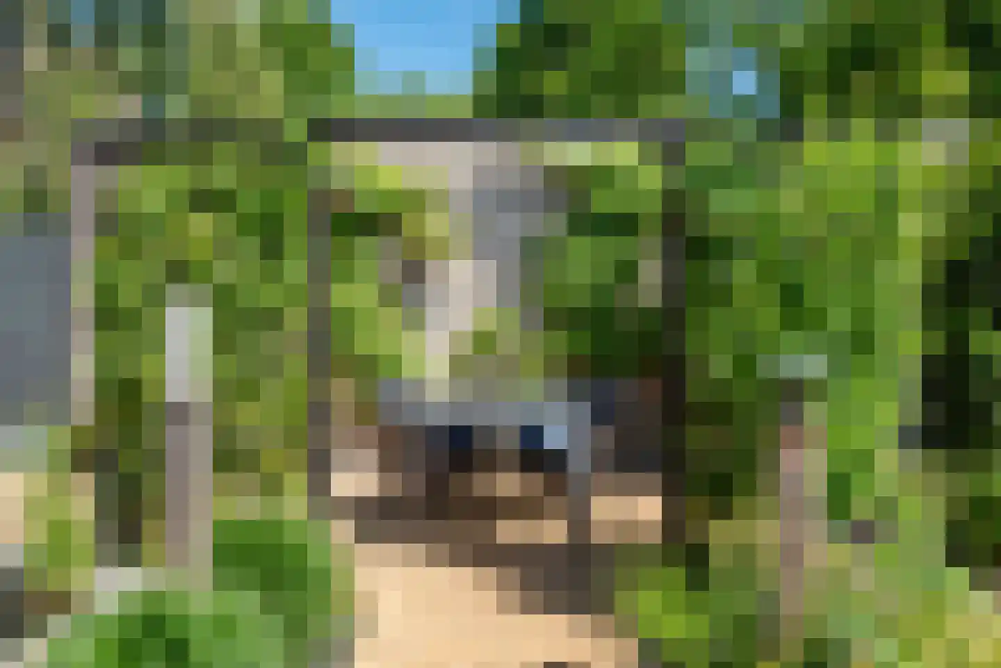 Dommelstraat 5 Ulft thumbnail 38