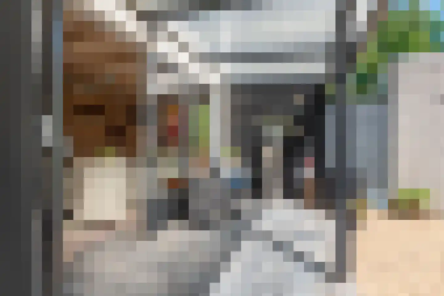 Dommelstraat 5 Ulft thumbnail 40