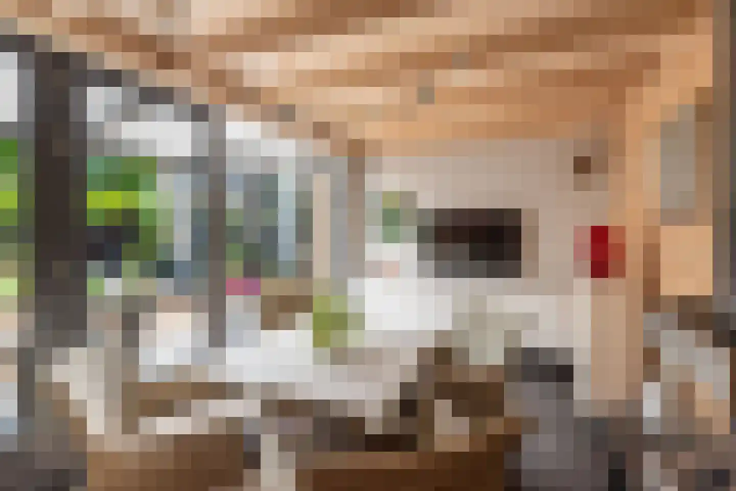 Dommelstraat 5 Ulft thumbnail 43