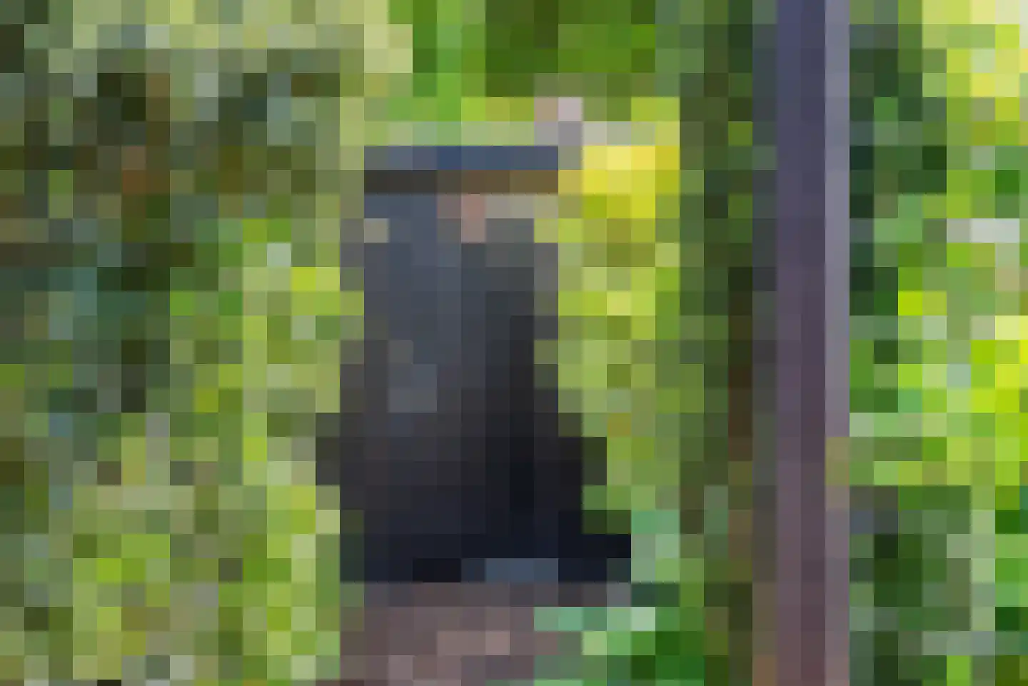 Dommelstraat 5 Ulft thumbnail 47