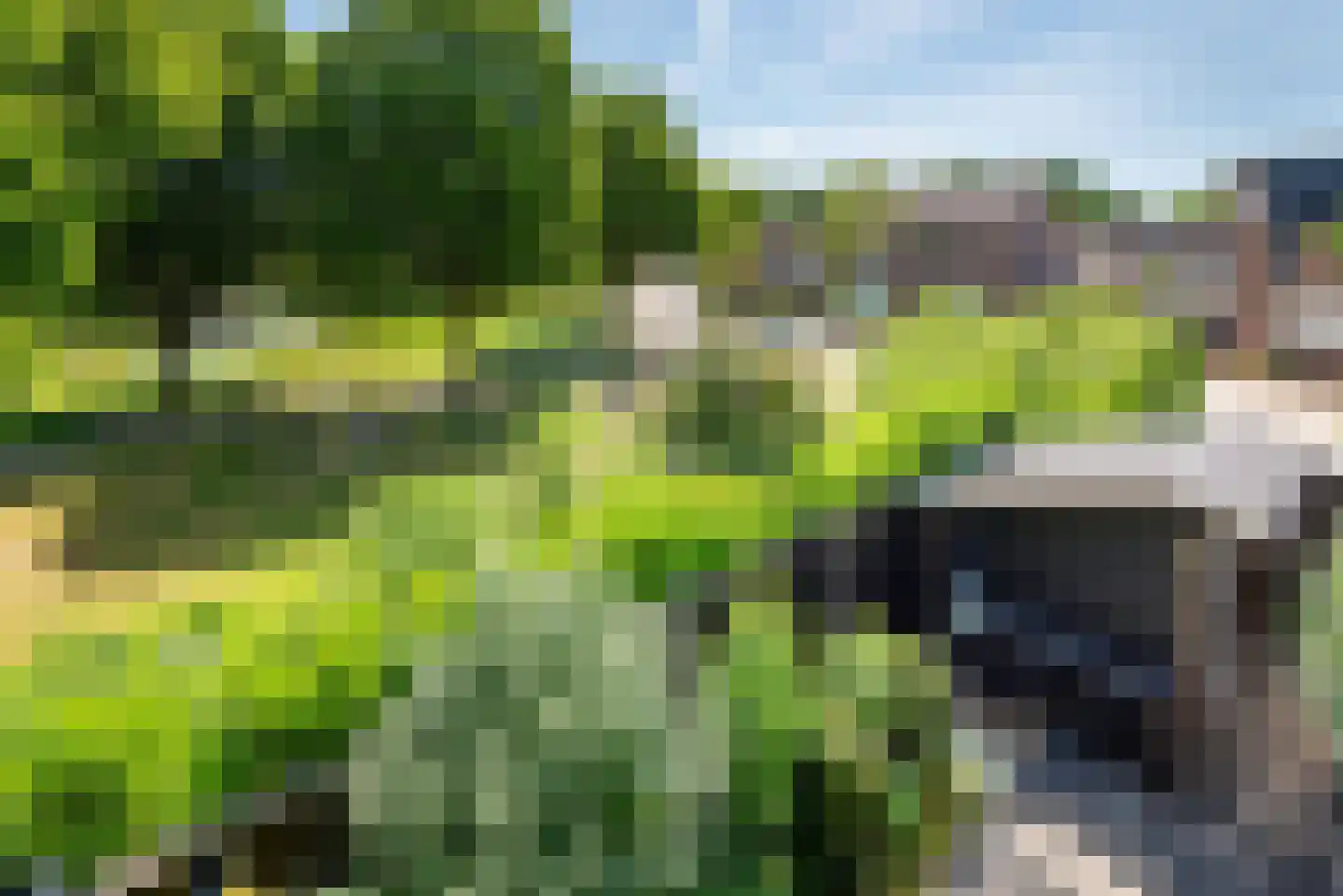 Dommelstraat 5 Ulft thumbnail 49