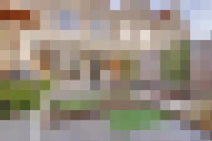 Dommelstraat 6 Culemborg thumbnail 18