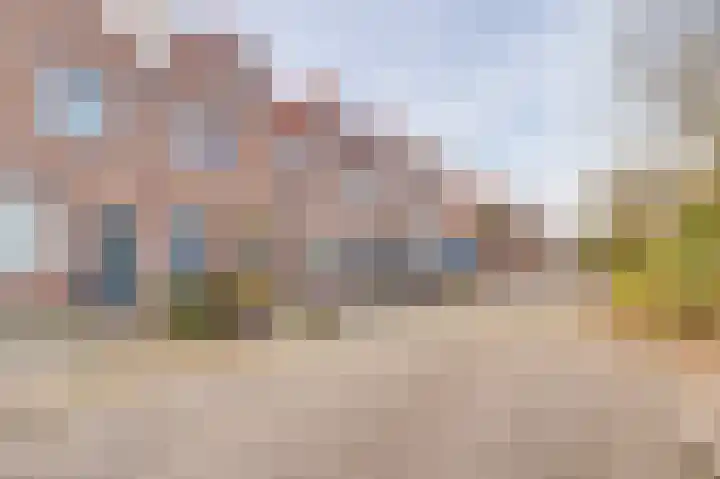 Dommelstraat 6 Culemborg thumbnail 44