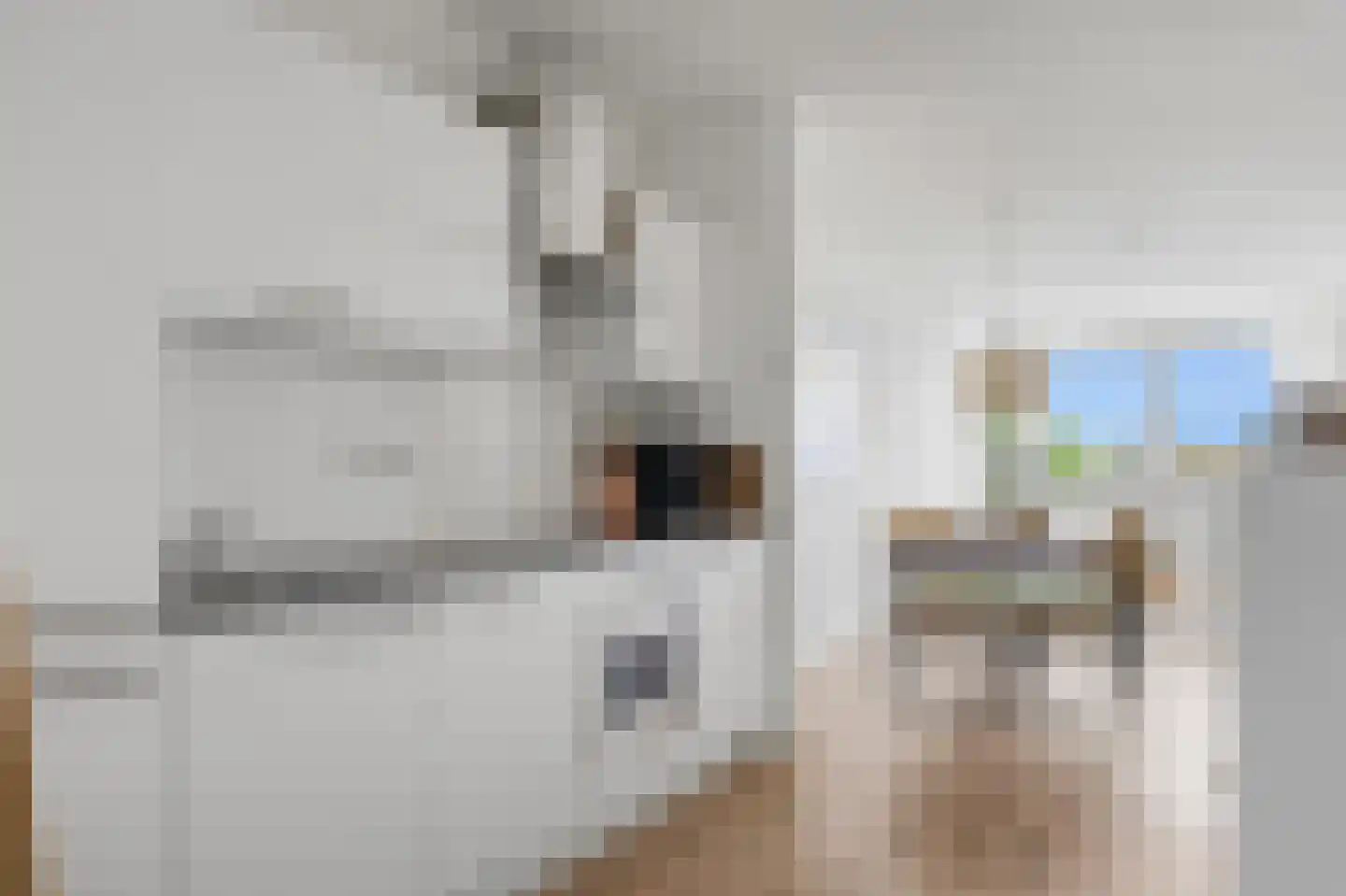 Dommelstraat 7 D 's-Hertogenbosch thumbnail 8