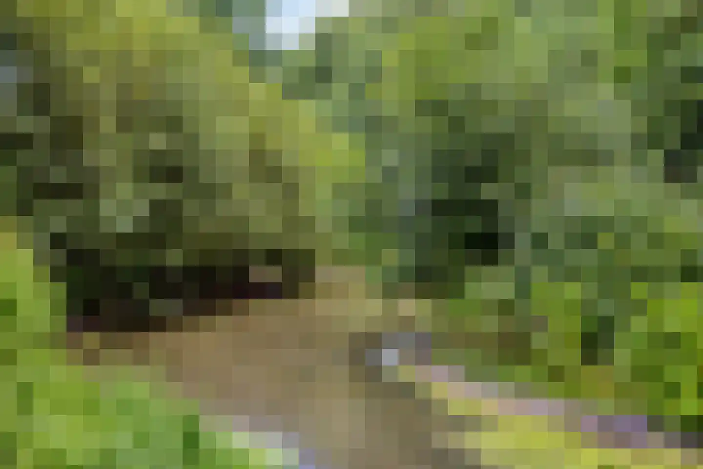 Dommelstraat 8 Middelburg thumbnail 35