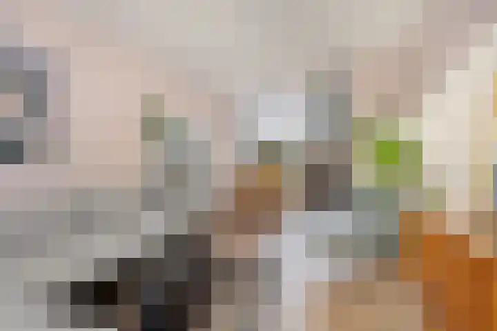 Dommelstraat 8 's-Hertogenbosch thumbnail 12