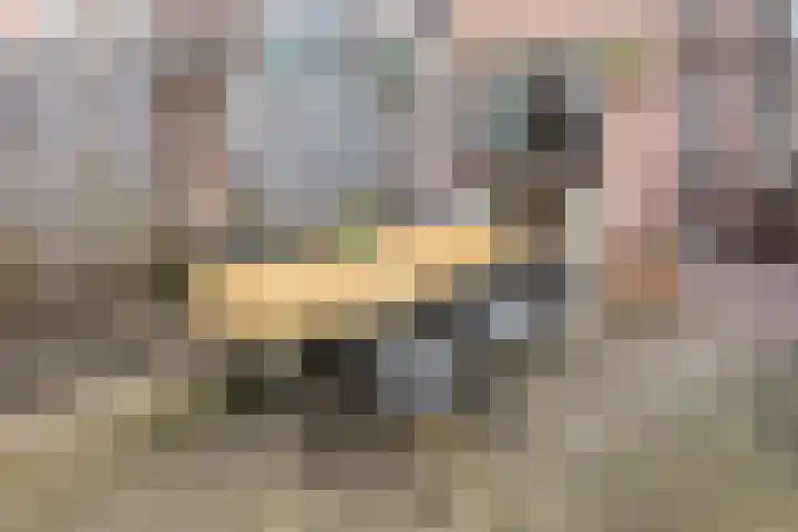 Dommelstraat 8 's-Hertogenbosch thumbnail 25