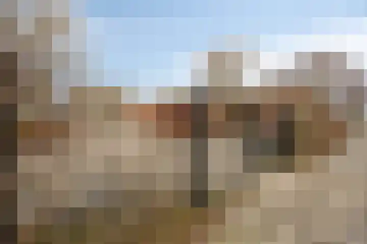 Dommelstraat 8 's-Hertogenbosch thumbnail 30