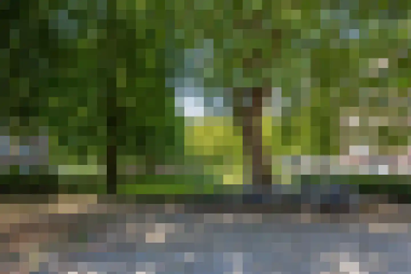 Dommelstraat 84 Enschede thumbnail 19