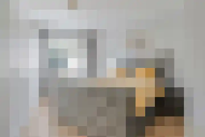 Dommelstraat 9 Valkenswaard thumbnail 23