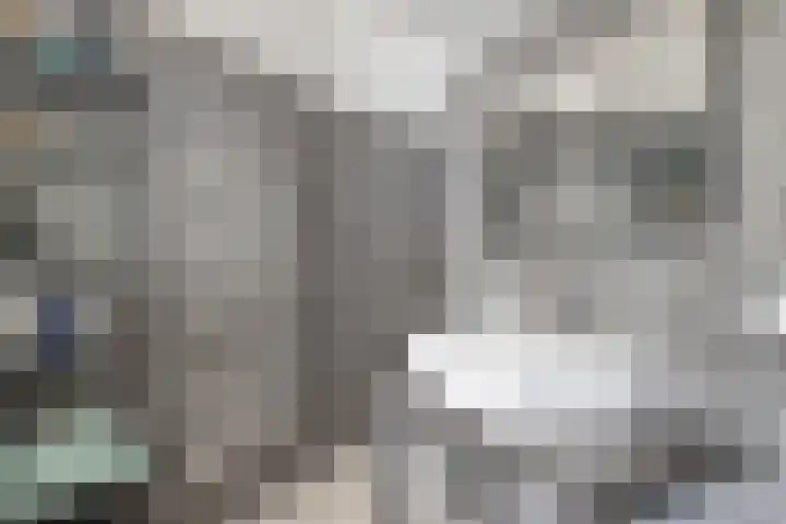 Dommelstraat 9 Valkenswaard thumbnail 25