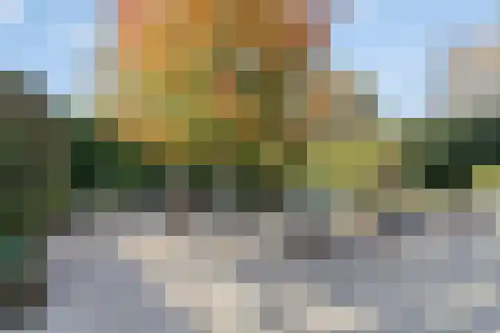 Dommelstraat 9 Valkenswaard thumbnail 33