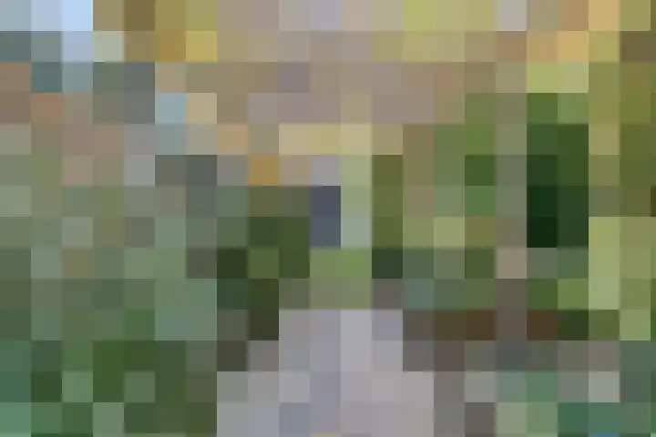 Dommelstraat 9 Valkenswaard thumbnail 34