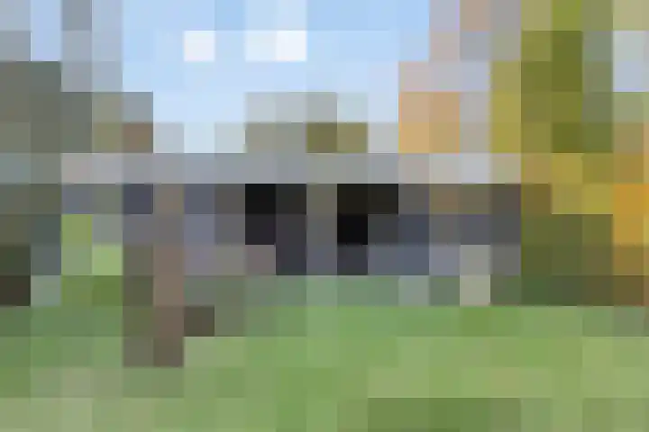 Dommelstraat 9 Valkenswaard thumbnail 35