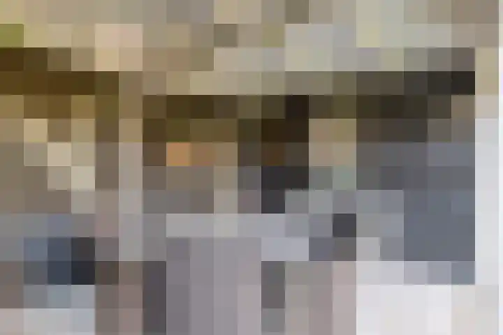 Dommelstraat 9 Valkenswaard thumbnail 36