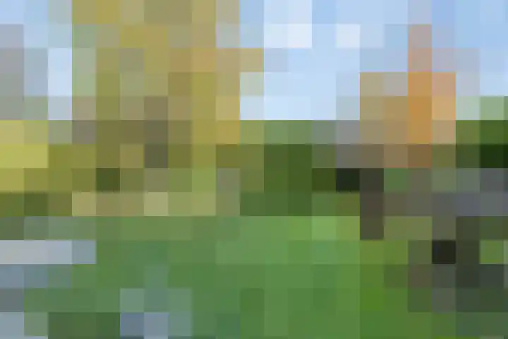 Dommelstraat 9 Valkenswaard thumbnail 37