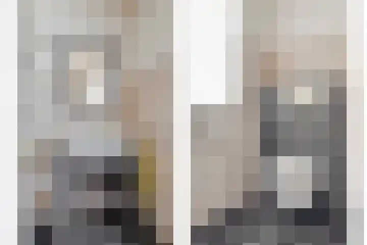Dommelstraat 9 Valkenswaard thumbnail 43