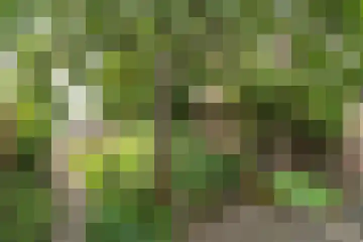 Dommer van Poldersveldtweg 13 Nijmegen thumbnail 39