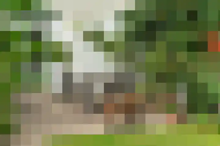 Dommer van Poldersveldtweg 13 Nijmegen thumbnail 40