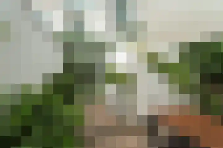 Dommer van Poldersveldtweg 13 Nijmegen thumbnail 41