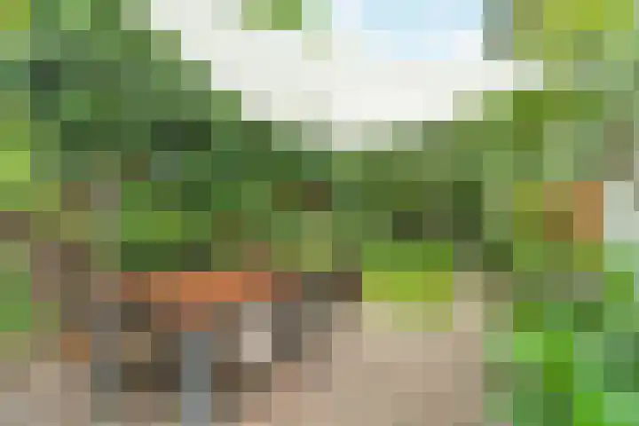 Dommer van Poldersveldtweg 13 Nijmegen thumbnail 42