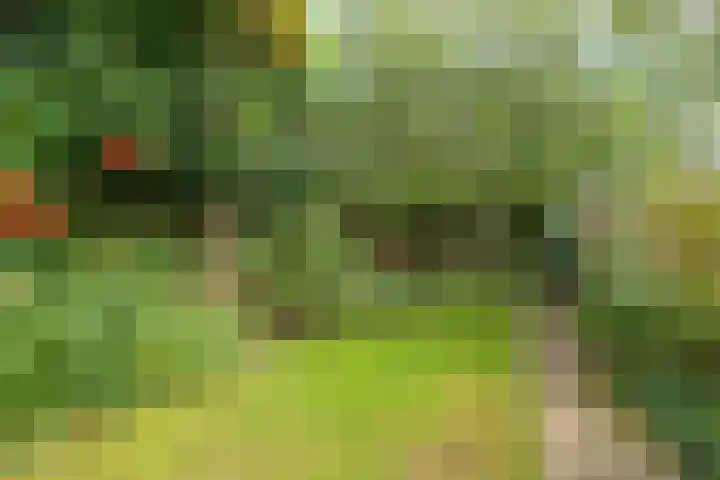 Dommer van Poldersveldtweg 13 Nijmegen thumbnail 43
