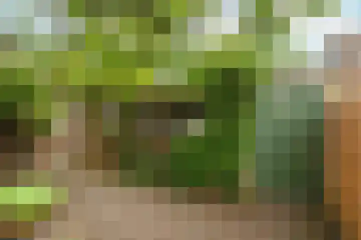 Dommer van Poldersveldtweg 13 Nijmegen thumbnail 44