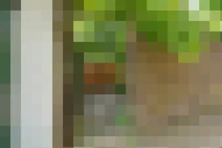 Dommer van Poldersveldtweg 13 Nijmegen thumbnail 47