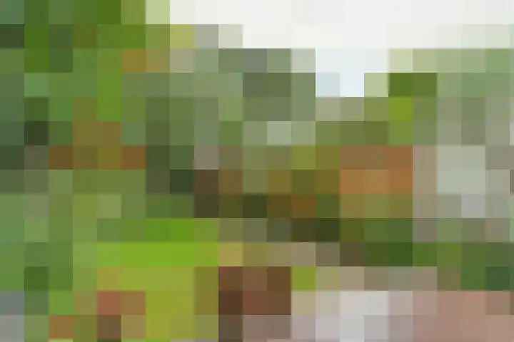 Dommer van Poldersveldtweg 13 Nijmegen thumbnail 5